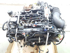 MOTORE 204DTD