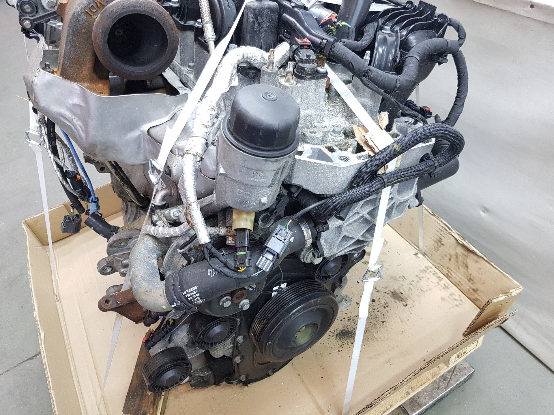 MOTORE 204DTD