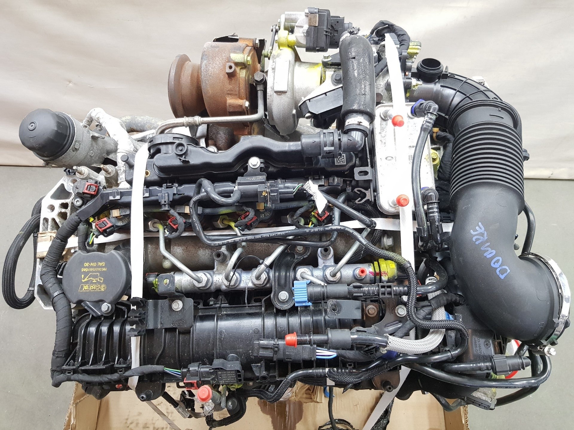 MOTORE 204DTD