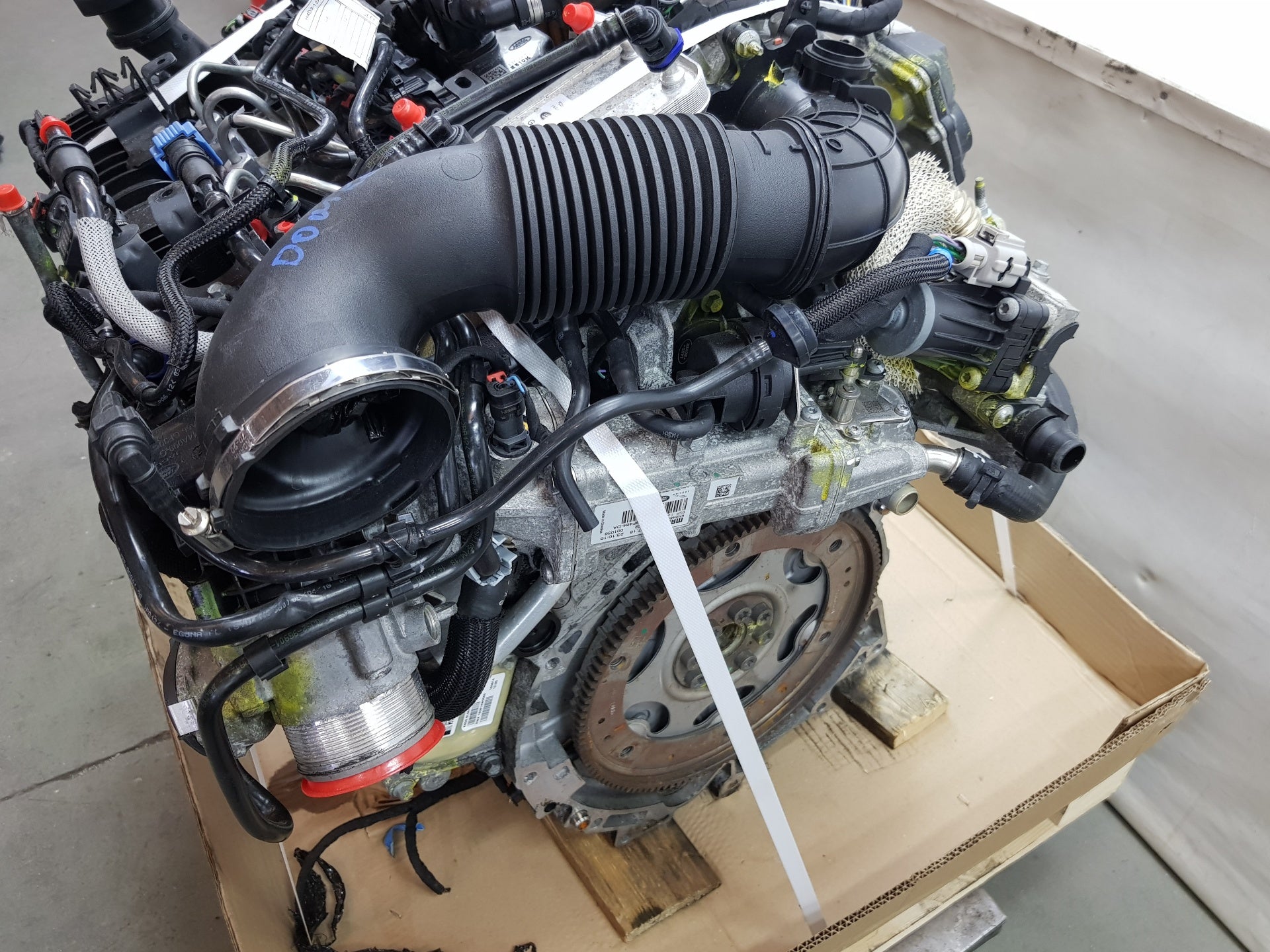 MOTORE 204DTD
