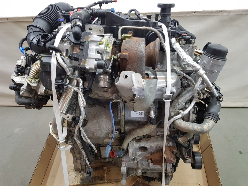 MOTORE 204DTD