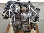 MOTORE 204DTD